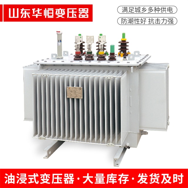 S13-10000/35雁江雁江雁江电力变压器